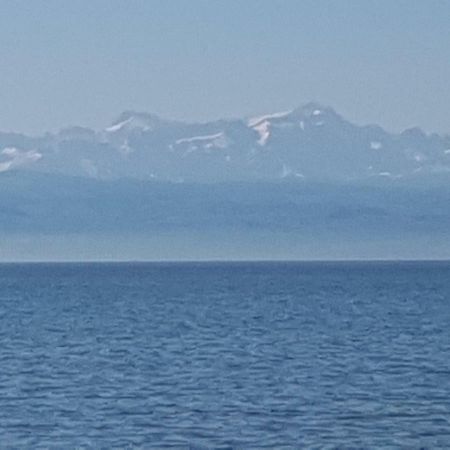 Ferienwohnung "Waldeck" Nahe Messe Und Bodensee フリードリヒスハーフェン エクステリア 写真