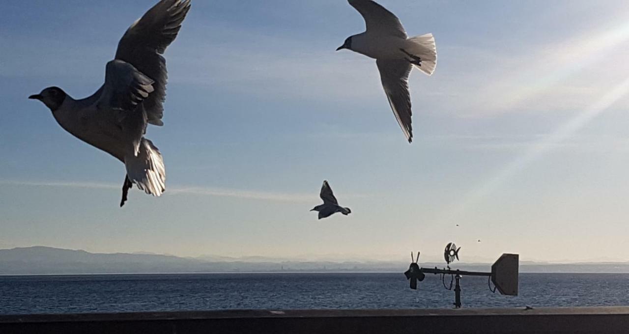 Ferienwohnung "Waldeck" Nahe Messe Und Bodensee フリードリヒスハーフェン エクステリア 写真